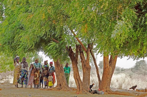 Girls standing under trees