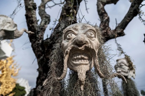 A mask hanging on a tree