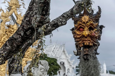 A mask hanging on a tree