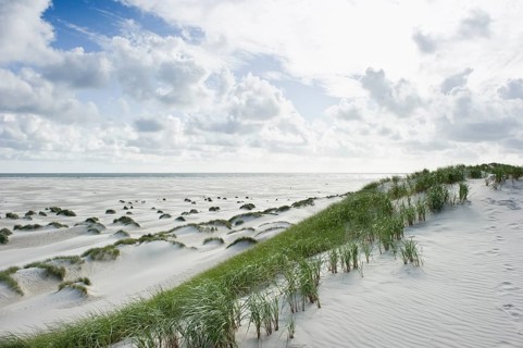 Dunes and a white sandy beach