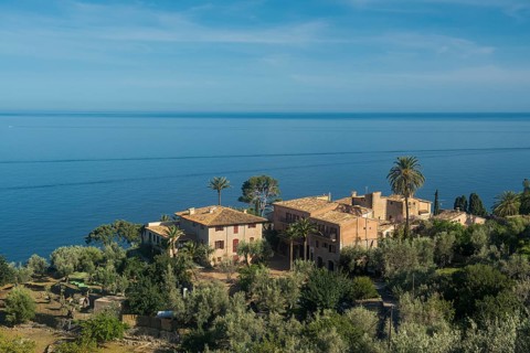 Houses and palm trees by the sea