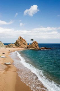 Sandy beach with rocks and solitary tree