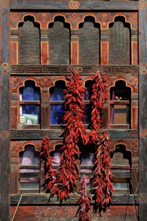 Chili peppers on a window