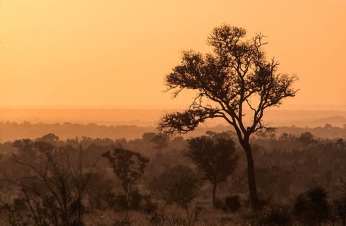 River landscape in the southern Kruger National Park