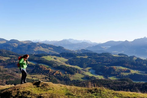 Hiker with views from Kranzhorn mountain towards the Loferer Steinberge mountains and Zahmer Kaiser mountain