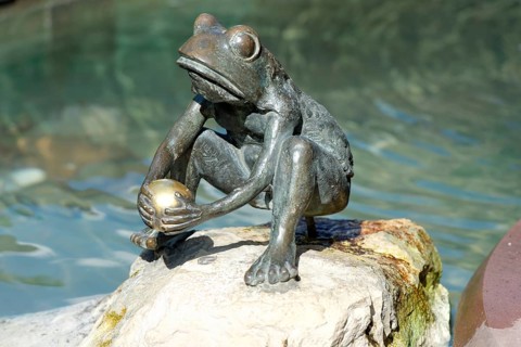 Frog Prince