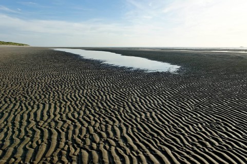 Beach at low tide