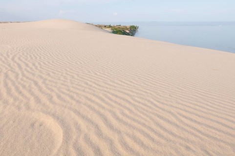 Wandering dune