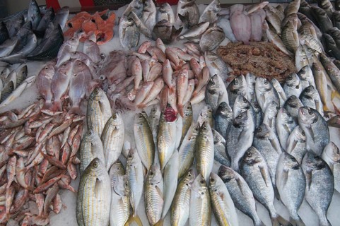 Fish for sale at the weekly market