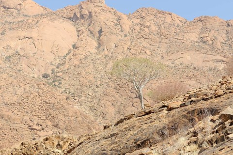 Mountain landscape along a trail to the White Lady rock painting in the Tsisab Gorge