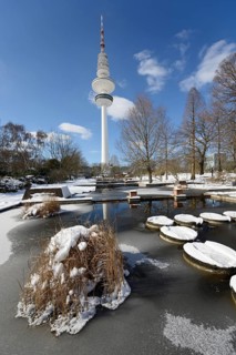 Frozen ponds in "Planten un Blomen" park