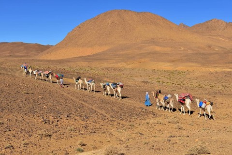 Tuareg men