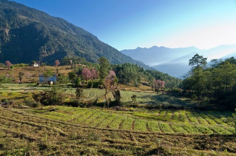 Agricultural landscape with hills and forrest in the back