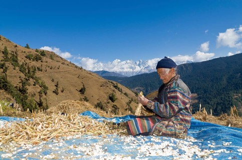 Old local woman sorting out beans