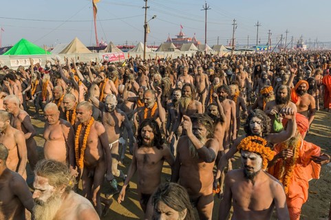 Crowds of naked Naga sadhus