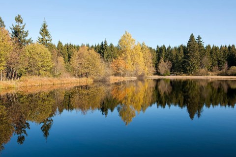 Marienteich or Mary's Pond