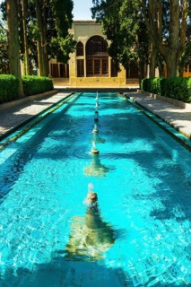 Fin Garden