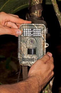 Bushnell Trophy Cam HD camera trap to record wildlife