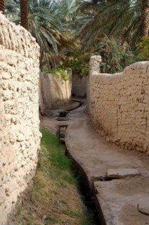 Irrigation canal in a lane