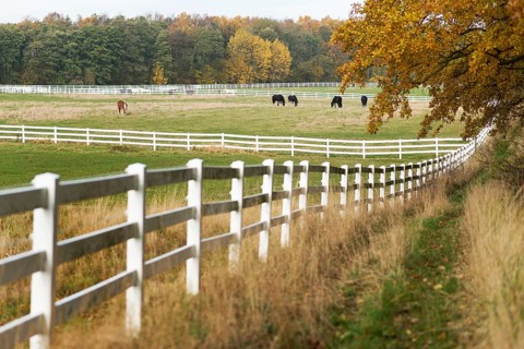 Paddocks in autumn