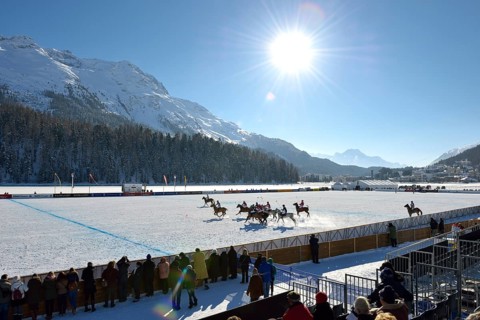 Polo tournament