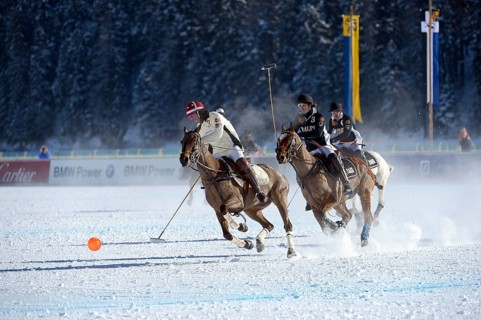 Polo tournament