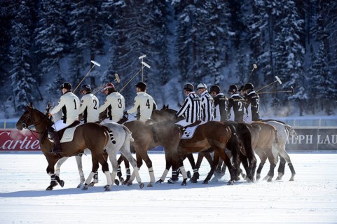 Polo tournament