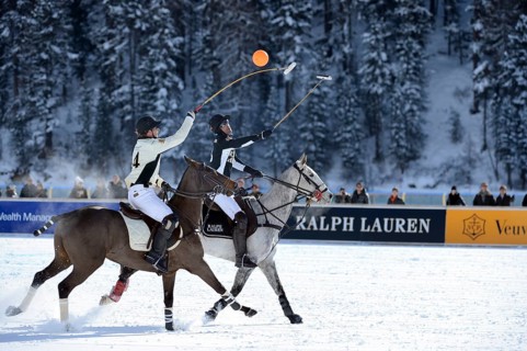 Polo tournament