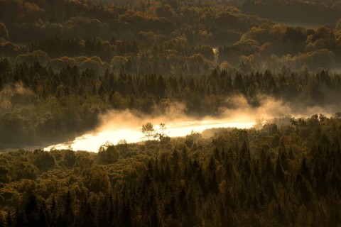 Isar River in the morning fog