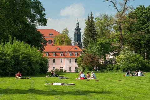 Students resting on the park meadow