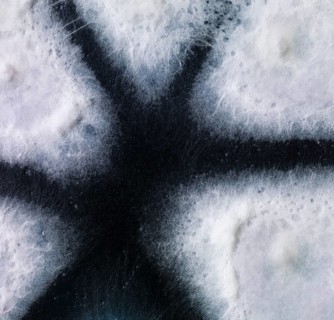 Mould
