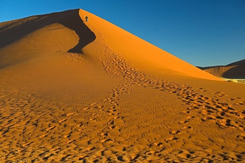 Tourists climbing Dune 45 in the evening light