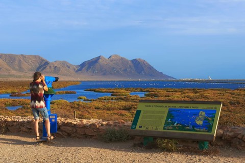 Woman watching birds through telescope