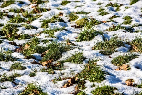 Thaw