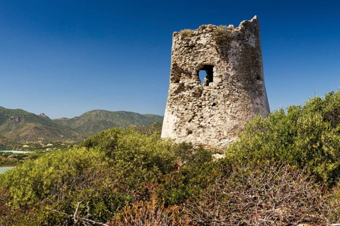 Saracen Tower