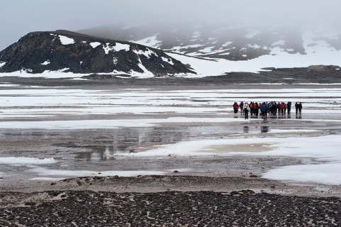 Visitors walking on Phippsøya