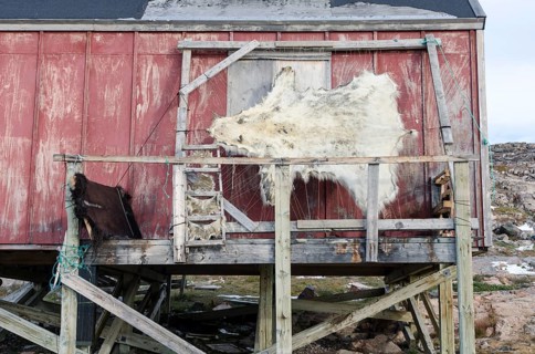 Polar bear skin drying on a frame outside a house in the Ittoqqortoormiit settlement
