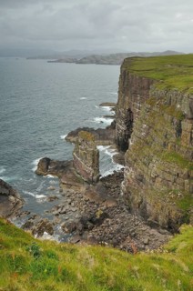 Cliffs with bird cliffs