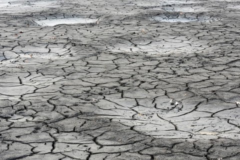 Cracked bed of a drained carp pond in autumn