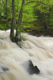 Waterfall on the Selke River during a flood