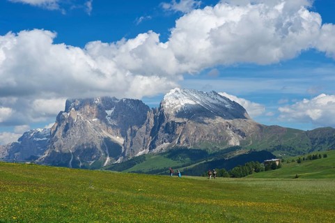 Seiser Alm alpine pastures in front of Piatto Mountain and Sasso Lungo Mountains