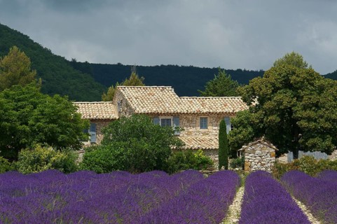 House in a lavender field