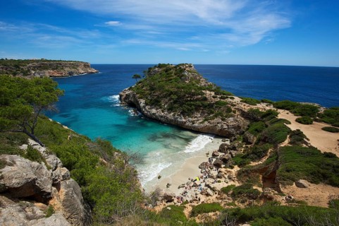 Bay Calo des Moro