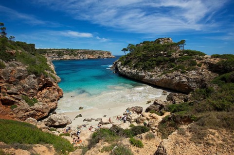 Bay Calo des Moro