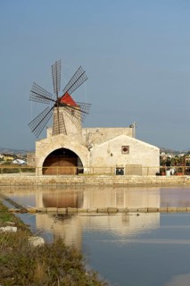Windmill in a saline