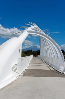 Te Rewa Rewa Bridge
