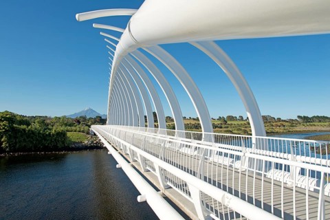 Te Rewa Rewa Bridge