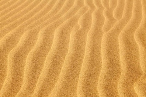 Wave-shaped structure in the sand dunes