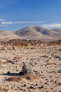Desertlike landscape