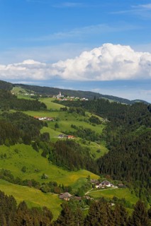 Town of Diex with pastures and forests